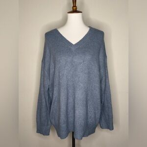 Zara Soft Blue V-Neck Sweater NWT M